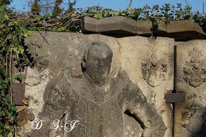 Widok fragmentu pyty